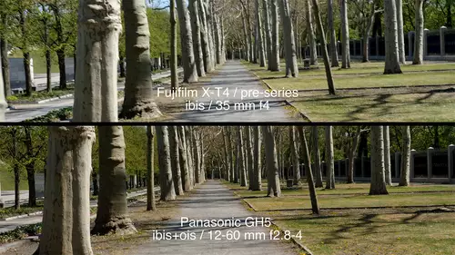 Vergleich Videostabilisierung: Fujifilm X-T4, Panasonic S1H, Nikon Z6, Canon EOS-1D X Mark III vs GH5